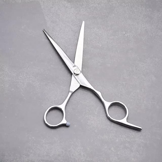 Zinger Professional Hairdressing Hair Cutting Scissors